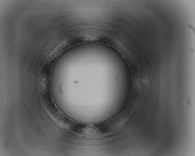 X0000103330215200809121218