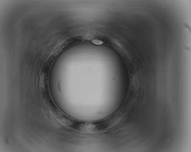 X0000103330217200809121218