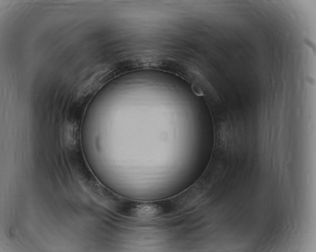 X0000103330218200809121218