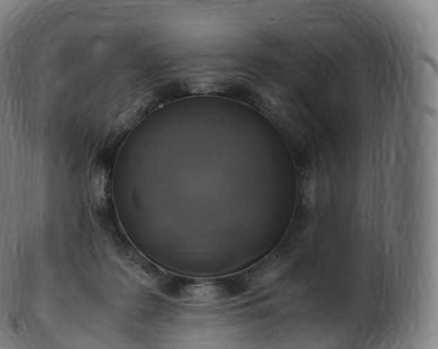 X0000103330219200809121218