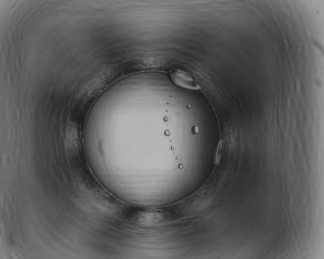 X0000103330220200809121218