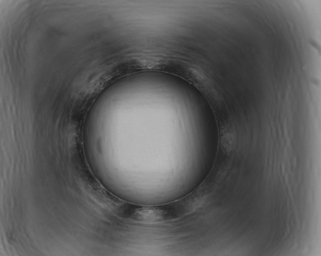 X0000103330221200809121218