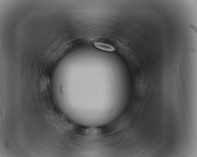 X0000103330225200809121218