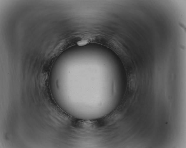 X0000103330229200809121218