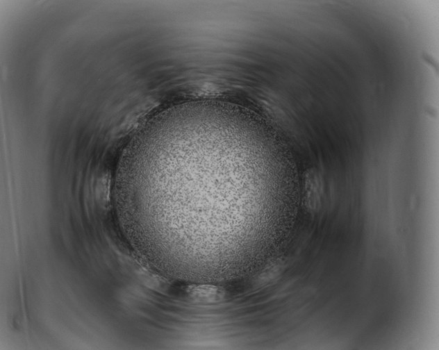 X0000103330230200809121218