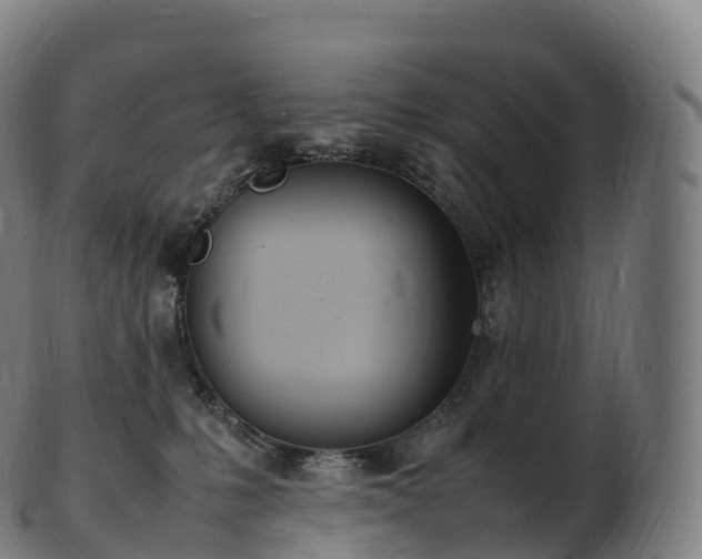 X0000103330231200809121218