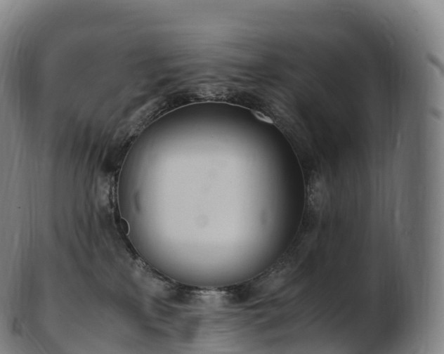 X0000103330233200809121217