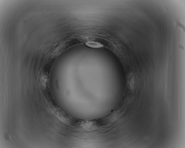 X0000103330235200809121217