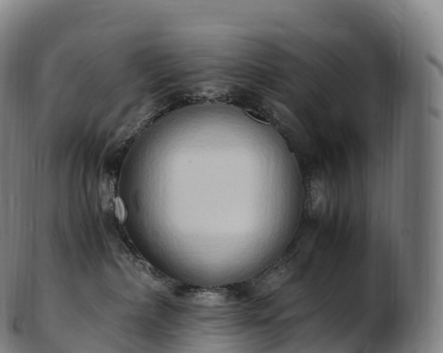 X0000103330236200809121217