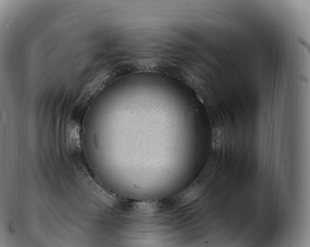 X0000103330238200809121217