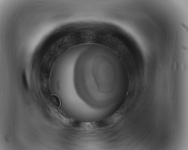 X0000103330239200809121217