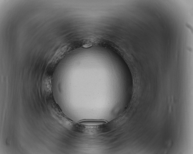 X0000103330240200809121217