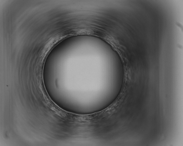 X0000103330241200809121217