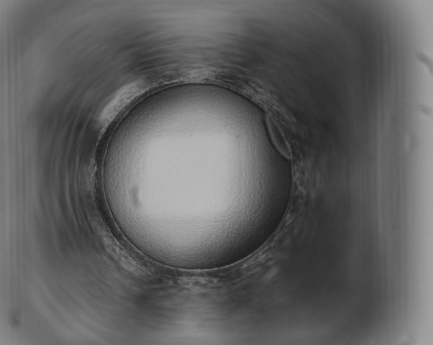 X0000103330242200809121217