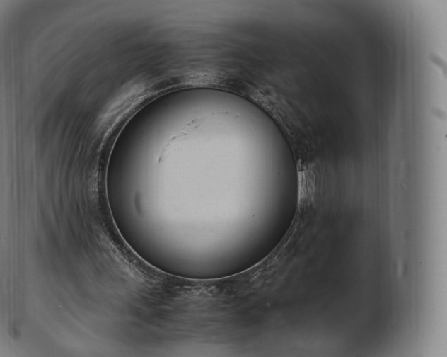 X0000103330243200809121217