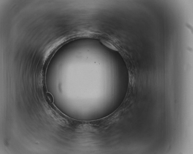 X0000103330244200809121217