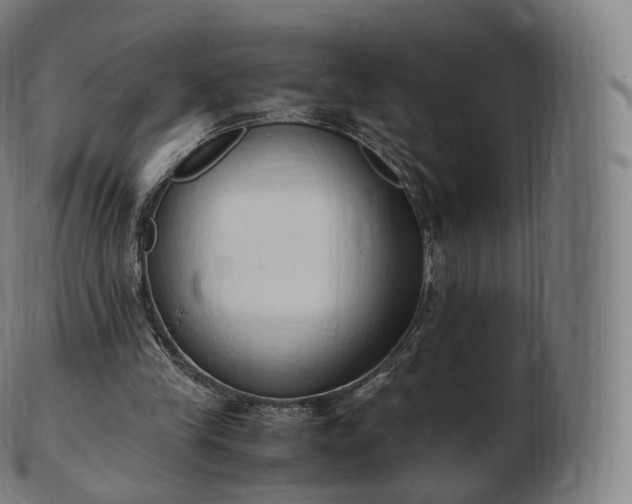 X0000103330245200809121217