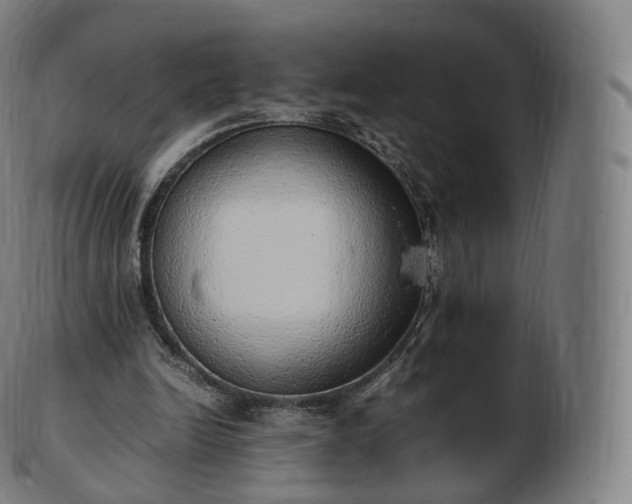 X0000103330246200809121217