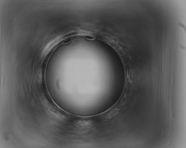 X0000103330247200809121217