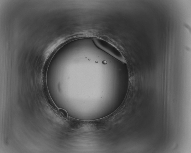 X0000103330248200809121217