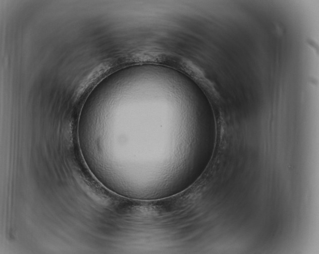 X0000103330250200809121217