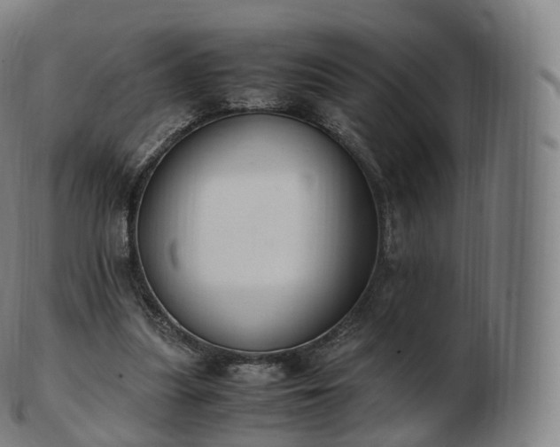 X0000103330251200809121217