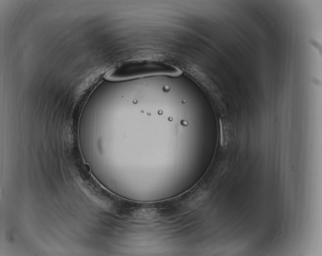 X0000103330252200809121217