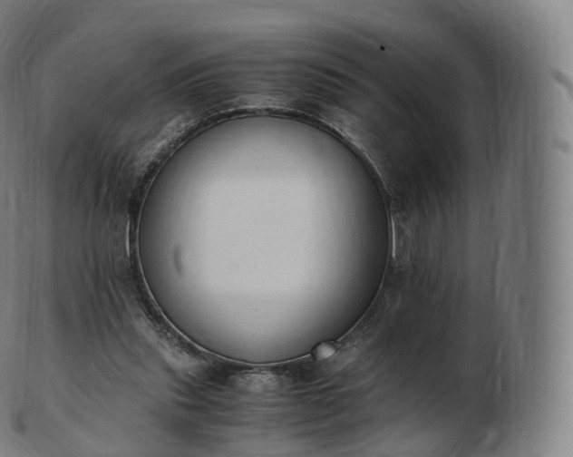 X0000103330253200809121217