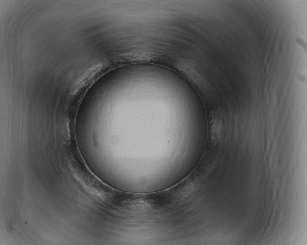 X0000103330254200809121217