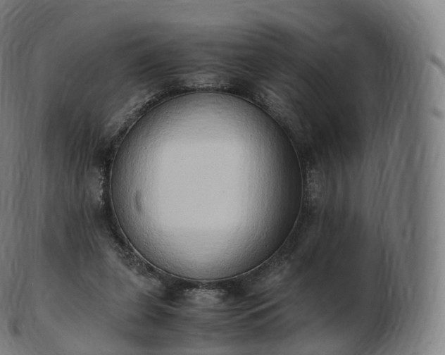 X0000103330255200809121217