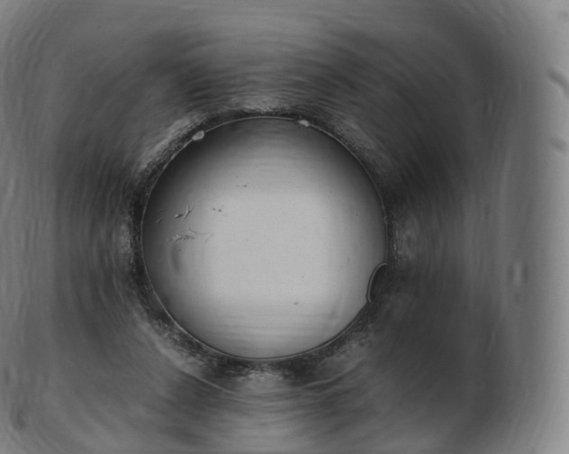 X0000103330256200809121217