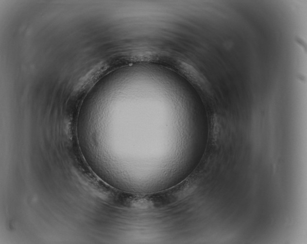 X0000103330258200809121217