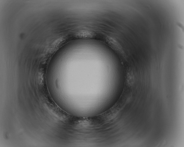 X0000103330259200809121217