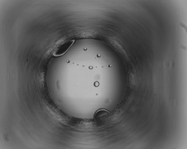 X0000103330260200809121217