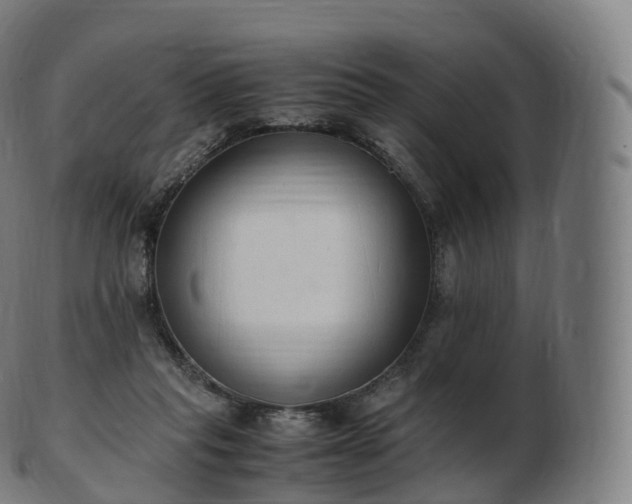 X0000103330261200809121217