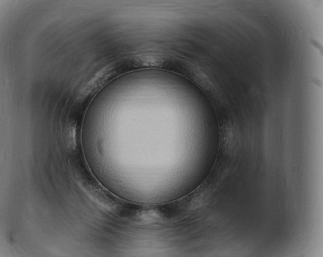 X0000103330262200809121217