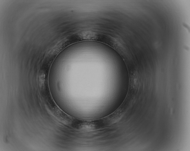 X0000103330263200809121217