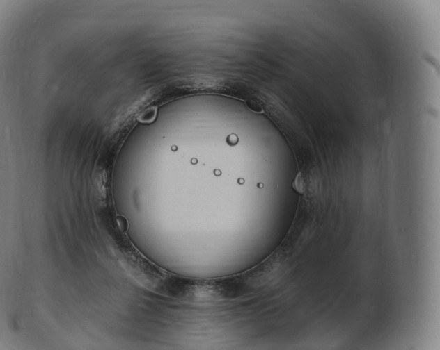 X0000103330264200809121217