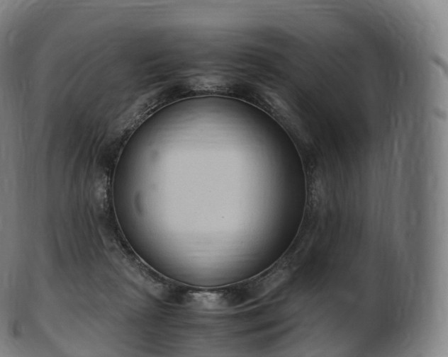 X0000103330265200809121217