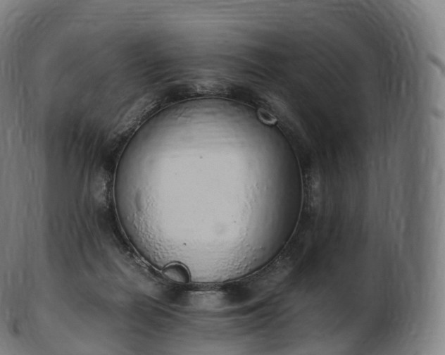 X0000103330266200809121217