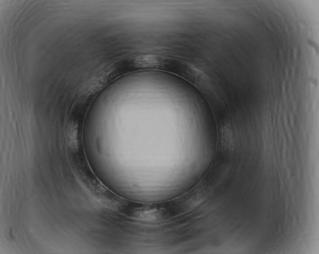 X0000103330267200809121217