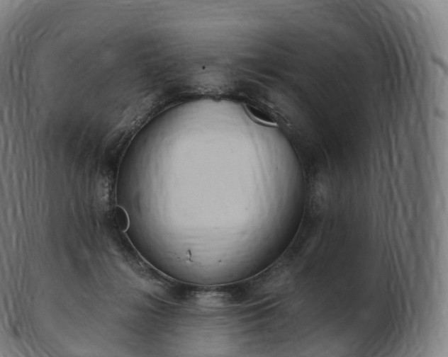 X0000103330268200809121217