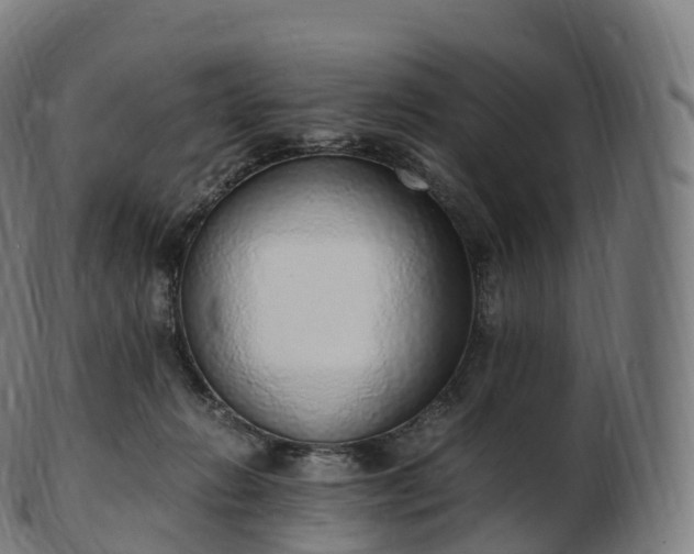 X0000103330270200809121217