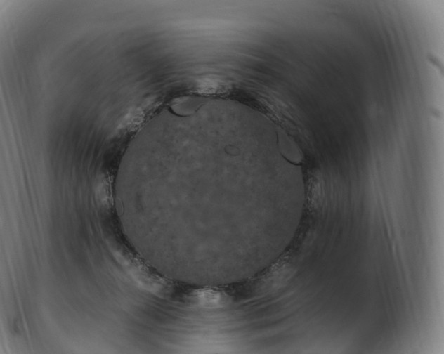 X0000103330272200809121217