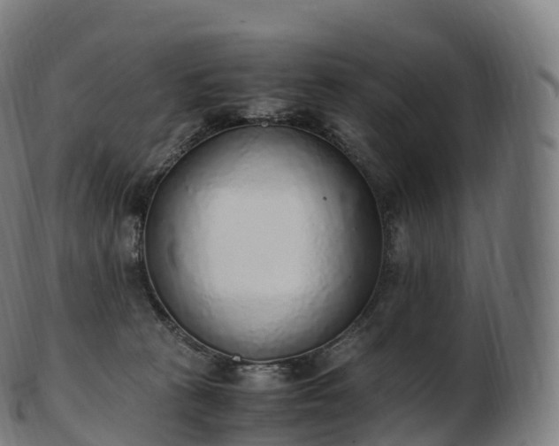 X0000103330273200809121217