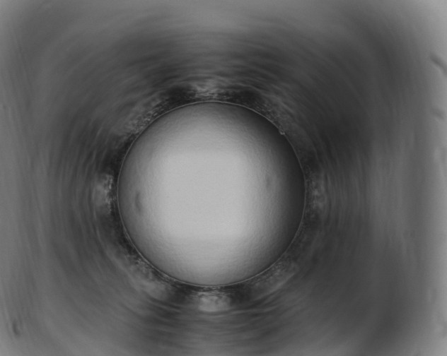 X0000103330275200809121217