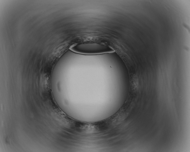 X0000103330276200809121217