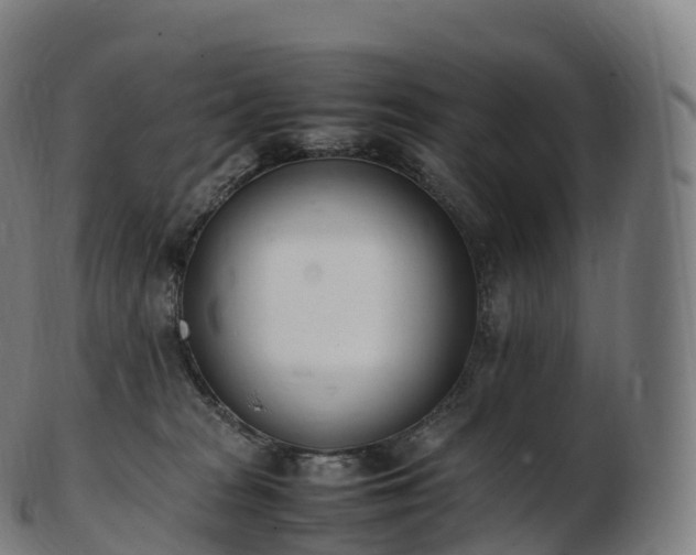 X0000103330277200809121217