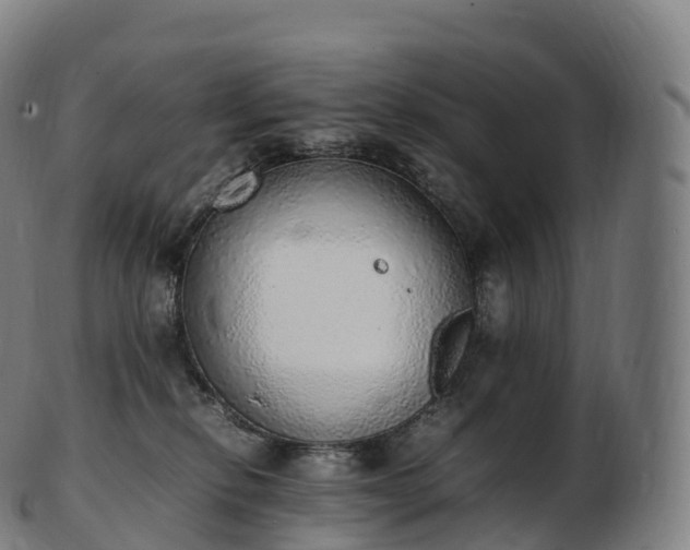 X0000103330278200809121217