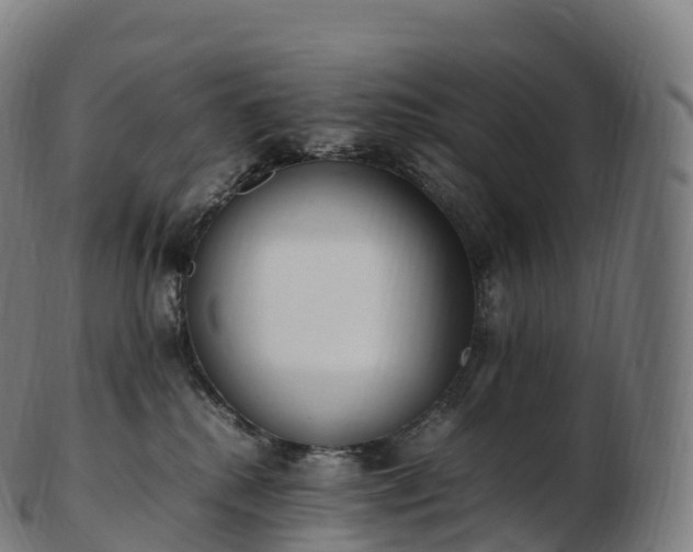 X0000103330280200809121217